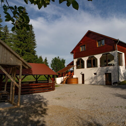 Domek drewniany 18-osobowy 