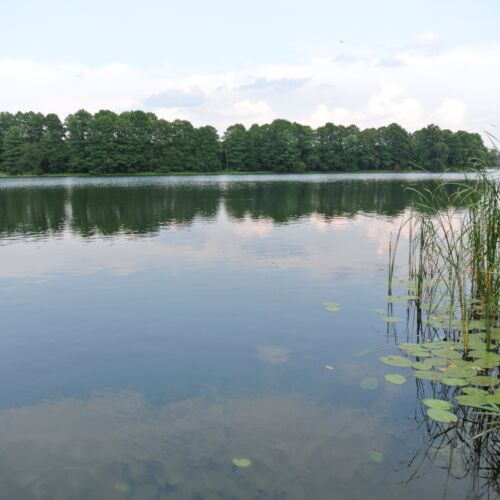 Domek letniskowy 8-osobowy Family z widokiem na ogród