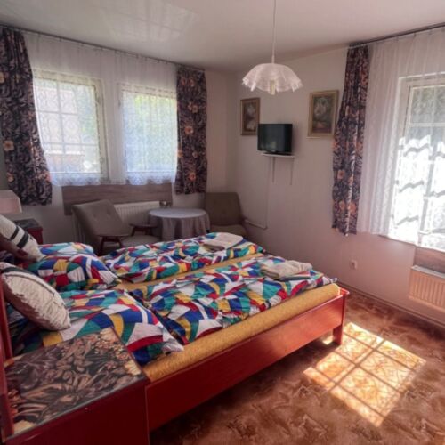 Pokoj se sprchou se společnou kuchyňkou s manželskou postelí