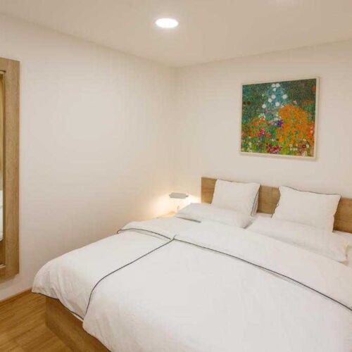 Apartman se sprchou s vlastní kuchyní pro 3 os.