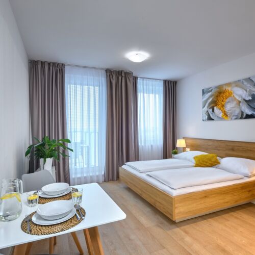 Studio 1-Room Apartment for 2 Persons