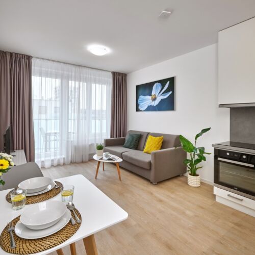 1-Room Apartment for 2 Persons (extra beds available)