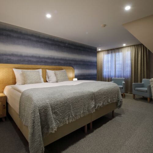 Camera dubla standard (se poate solicita pat suplimentar)