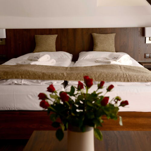 Pokoj se sprchou  pro 2 os. (s možností přistýlky)