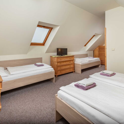 Depandance Standard Pokoj pro 4 os.