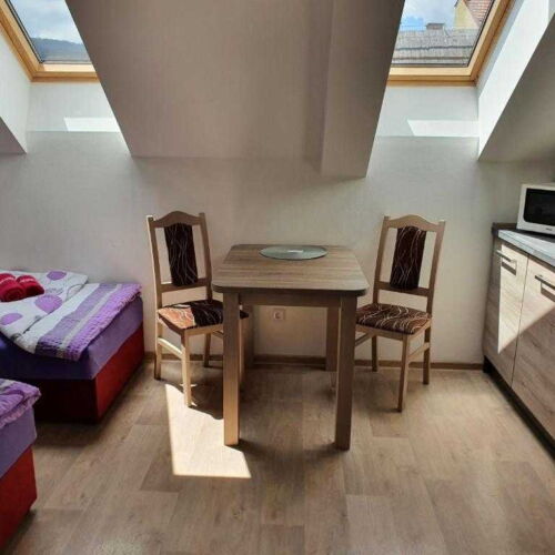 Camera twin studio cu duș