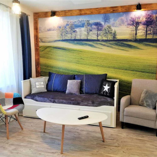 1-Room Apartment for 3 Persons with Shower and Kitchenette (extra beds available)