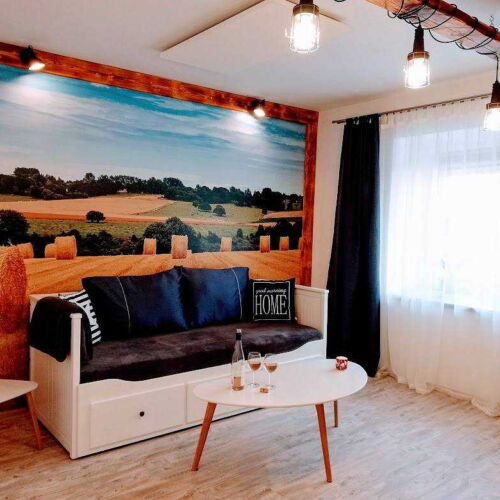 1-Room Apartment for 2 Persons with Shower and Kitchenette (extra beds available)