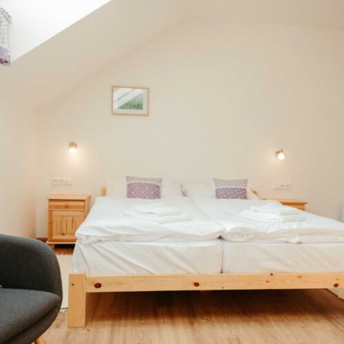 Pokój 2-osobowy Deluxe z prysznicem