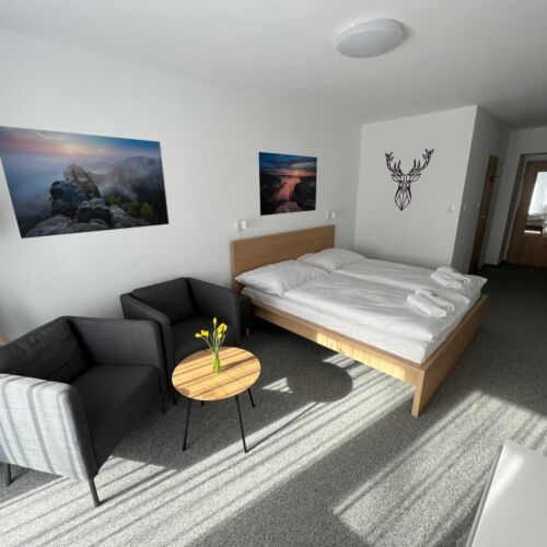 Pokoj se sprchou  s manželskou postelí