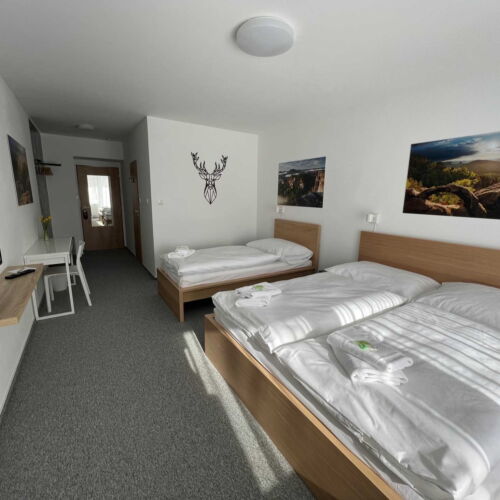 Pokoj se sprchou  pro 3 os.