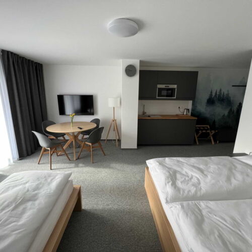 Apartman se sprchou s vlastní kuchyňkou pro 4 os. s 1 ložnicí