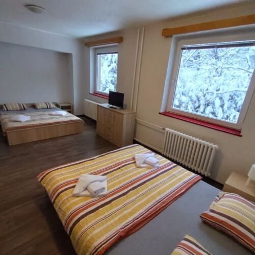 Family 5 Person Room 