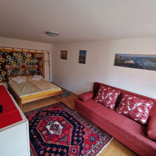 Camera tripla la parter cu vedere spre curte