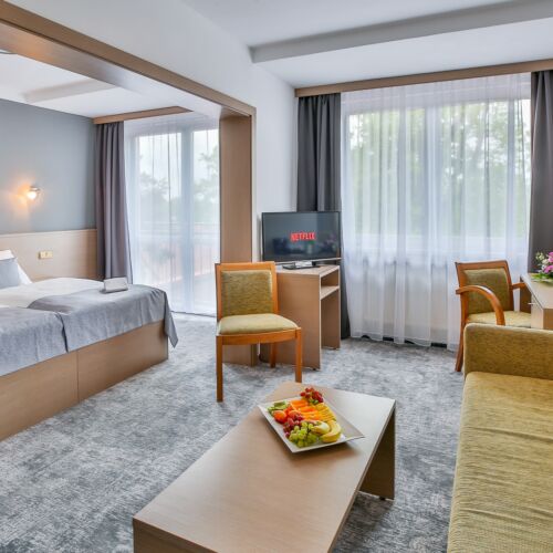 Superior Junior Pokoj pro 2 os. (s možností přistýlky)