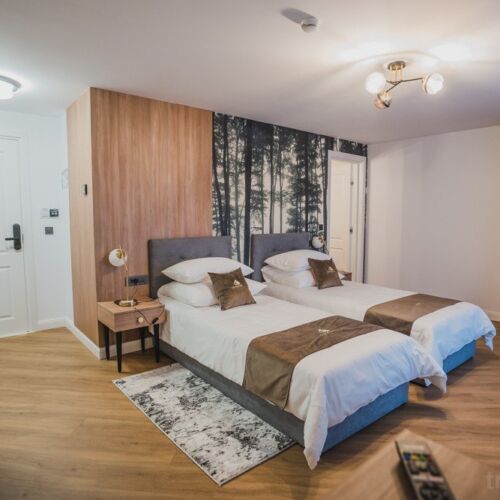 Camera dubla cu balcon