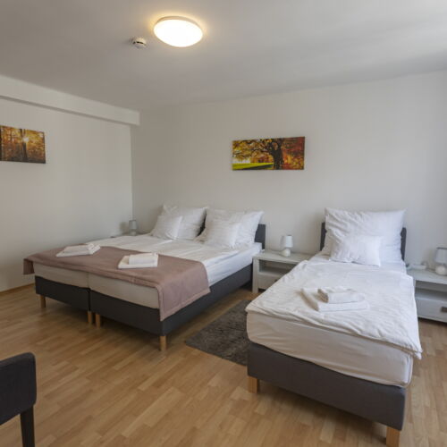 Apartament la etaj cu balcon cu 1 camera pentru 3 pers. (se poate solicita pat suplimentar)