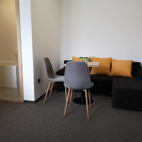 Pokoj s klimatizací se sprchou s manželskou postelí (s možností přistýlky)