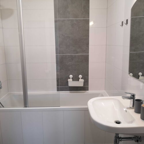 Pokoj s klimatizací se sprchou s manželskou postelí (s možností přistýlky)