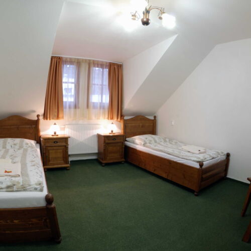 Camera twin cu duș (se poate solicita pat suplimentar)