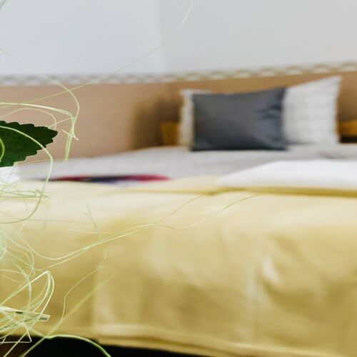 Apartament la parter cu vedere spre grădină cu 1 camera pentru 2 pers. (se poate solicita pat suplimentar)
