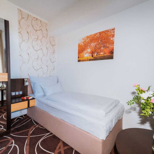 Einzelzimmer mit Dusche (Zusatzbett möglich)