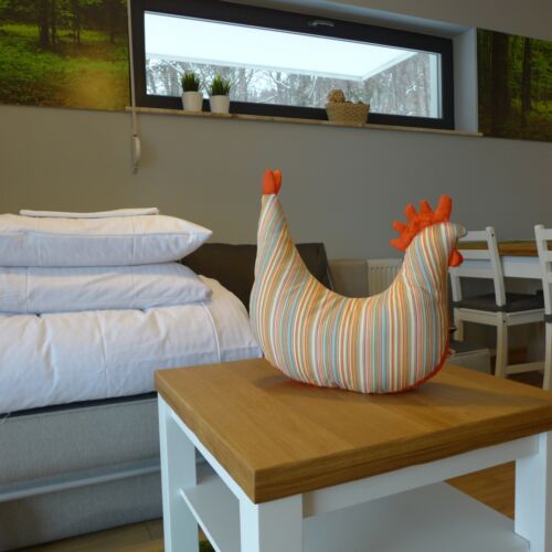 Apartament 4-osobowy na parterze z widokiem na góry z 2 pomieszczeniami sypialnianymi