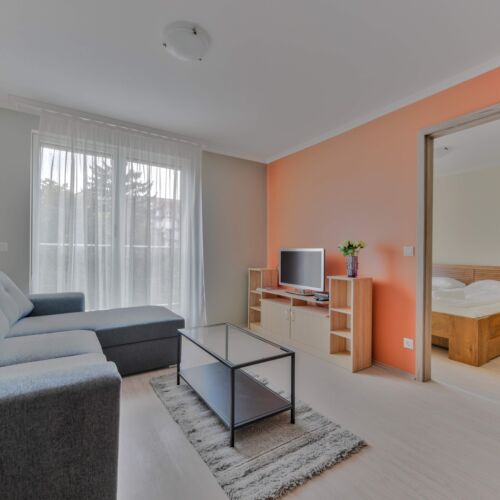 Premium 2-Zimmer-Apartment für 4 Personen