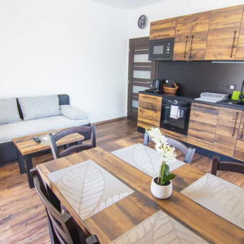 Apartman se sprchou s privátní koupelnou mimo apartmán pro 4 os. (s možností přistýlky)