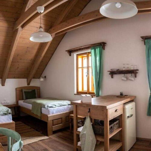 Twin Room with Shared Kitchenette air Conditioned