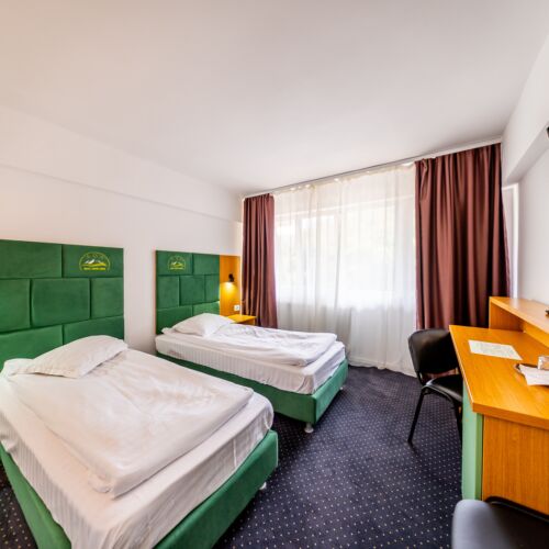 Camera twin classic cu panoramă