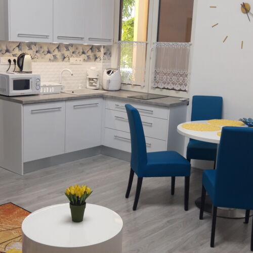 Apartament studio gold pentru 4 pers. (se inchirieaza doar integral)