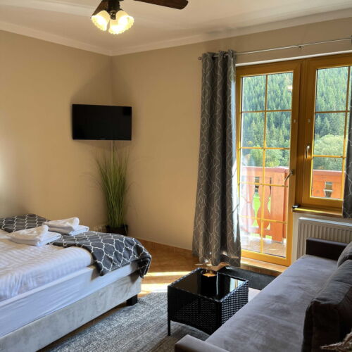 Camera twin deluxe cu duș (se poate solicita pat suplimentar)