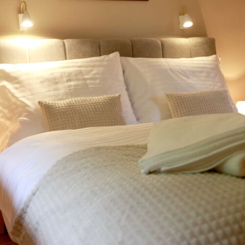 Camera twin superior cu duș (se poate solicita pat suplimentar)