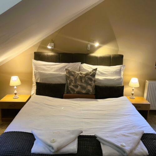 Camera tripla deluxe cu duș (se poate solicita pat suplimentar)