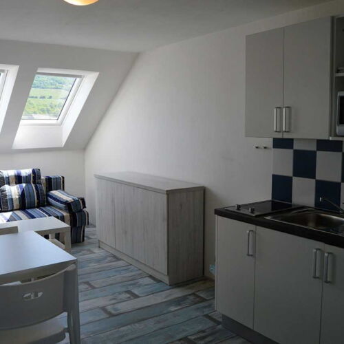 Camera cvadrupla cu duș cu chicinetă proprie