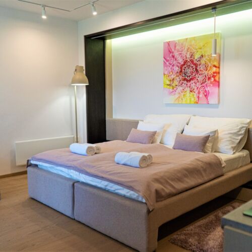 Camera twin accesibil(ă) persoanelor cu dizabilități cu chicinetă proprie