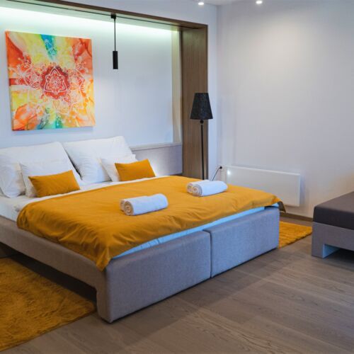 Camera twin cu chicinetă proprie cu vedere spre grădină