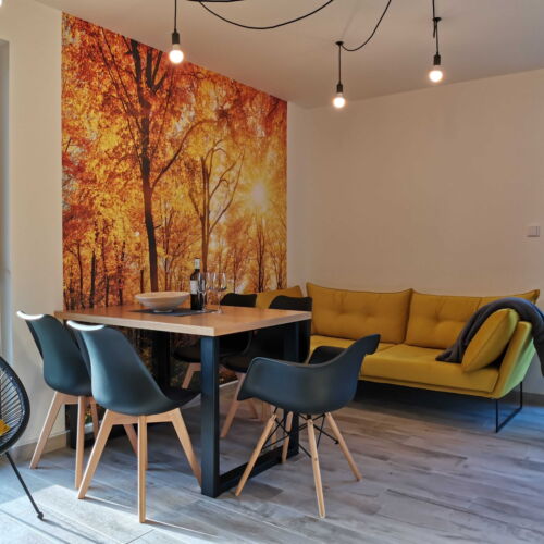 Apartament cu duș cu bucătărie proprie pentru 4 pers. (se poate solicita pat suplimentar)