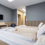 Dvoulůžkový pokoj DeLuxe  č.6 v hotelu - Trojanovice 183