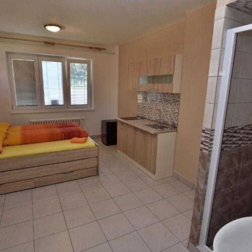 Camera twin cu duș cu chicinetă proprie