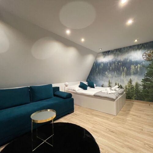 Apartament 4-osobowy Deluxe z 1 pomieszczeniem sypialnianym
