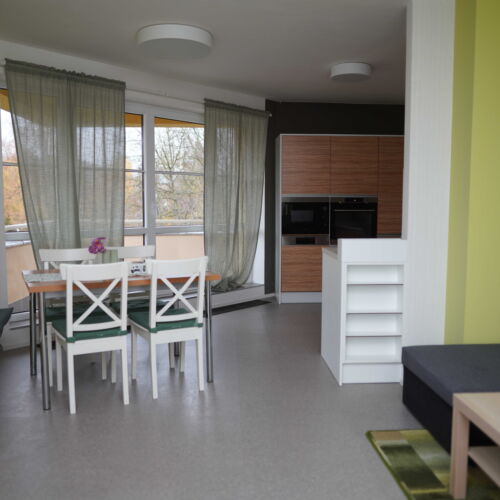 1-Room Apartment for 2 Persons (extra beds available)