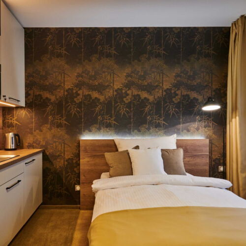 Apartament studio cu duș cu 1 camera pentru 1 pers.