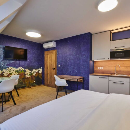 Apartament studio cu duș cu 1 camera pentru 2 pers.