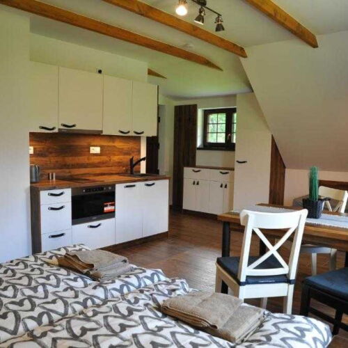 Apartament cu duș cu chicinetă proprie pentru 5 pers.