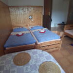Triple Room with Shower and Kitchen (extra bed available)
