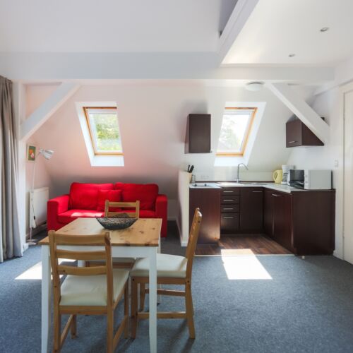 Apartament 2-osobowy na poddaszu z 1 pomieszczeniem sypialnianym