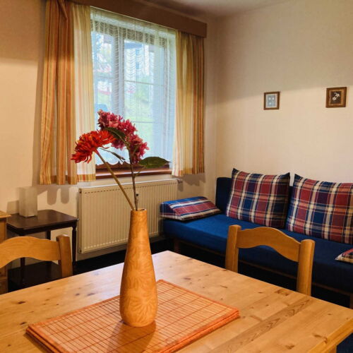 Apartment for 2 Persons with Shower and Kitchenette (extra beds available)