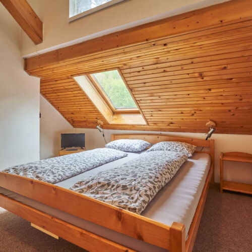 Pokoj se sprchou  s manželskou postelí